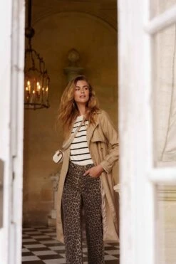 Jean Barbara - Léopard